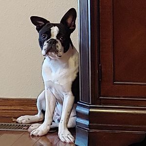 Meet your Posher, Kathie